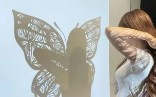 武安实名举报视频号电话揭秘武安实名举报视频号电话，揭秘真相！