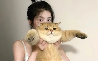 怎么举报小红书的帖子如何举报小红书的帖子？你了解吗？