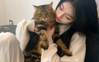 没录视频能举报吗抖音号抖音作为一种快速传播信息的平台，确实有其独特的传播特性。然而，在使用抖音时，我们也需要遵守一定的规则和道德规范。关于没录视频能举报抖音号的问题，我们需要深入探讨。