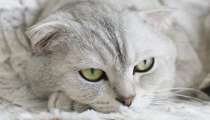 抖音直播吸毒怎么举报他抖音直播吸毒怎么举报?在当今社会,短视频平台如抖音的崛起给人们的生活带来了极大的便利。然而,一些用户利用这一平台进行违法犯罪活动,如吸食毒品。面对这种情况,我们应该如何举报抖音上的吸毒行为?